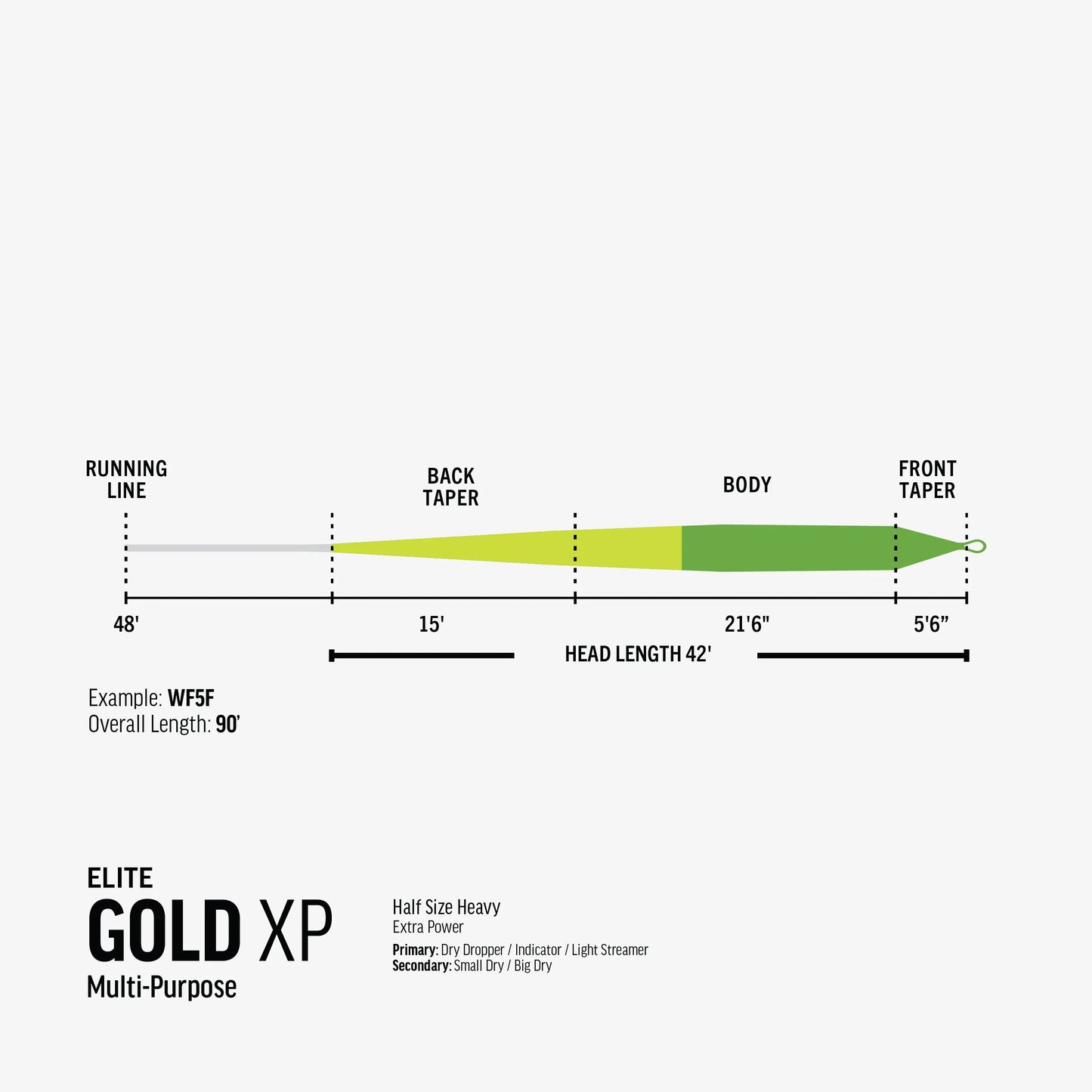 Rio Elite Gold XP Fly Lines
