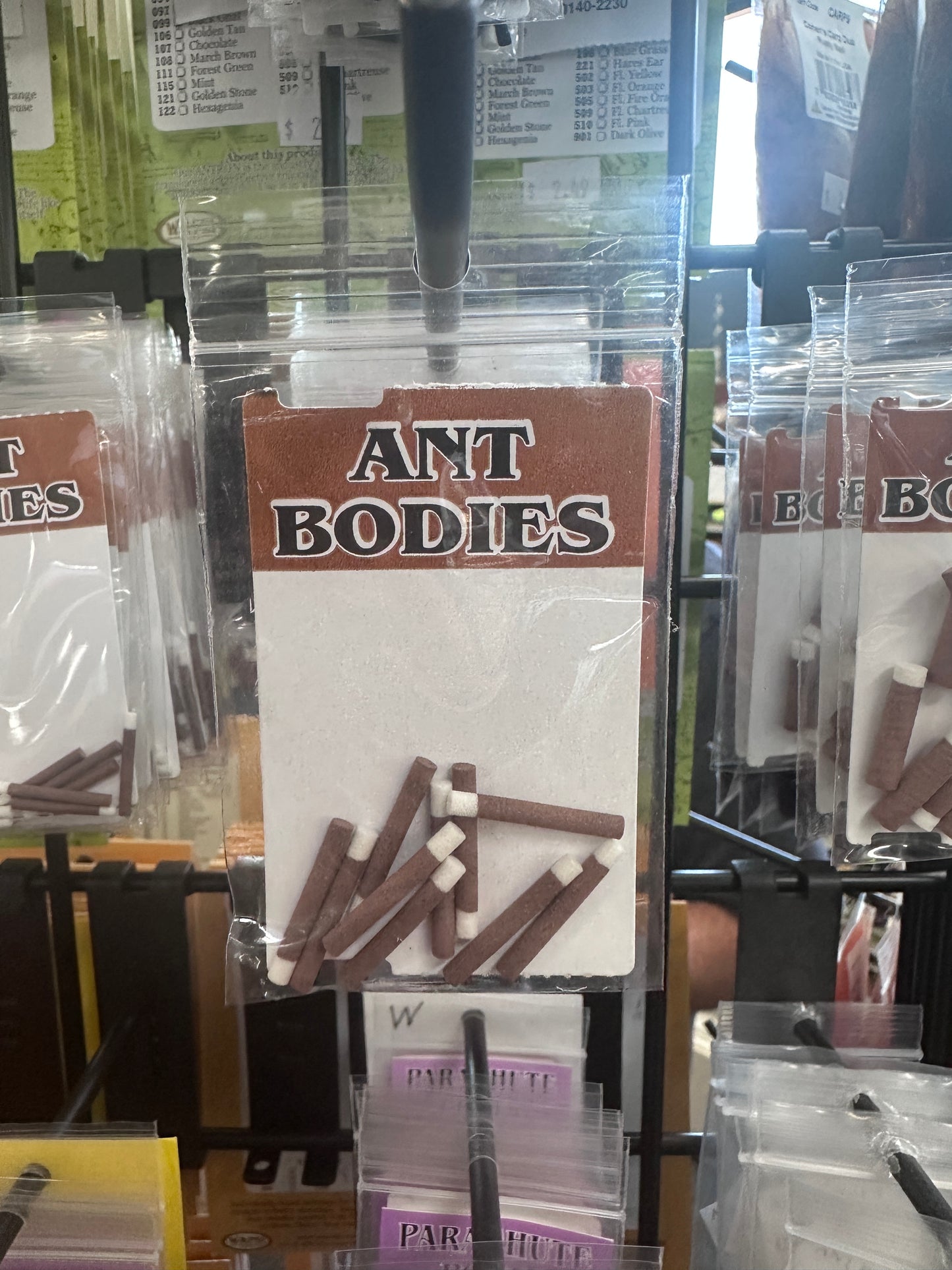 Wapsi Ant Bodies