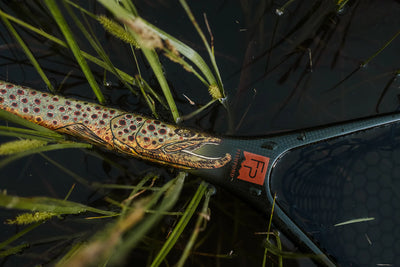 Fishpond Middle Fork Net- Hook Jaw Edition