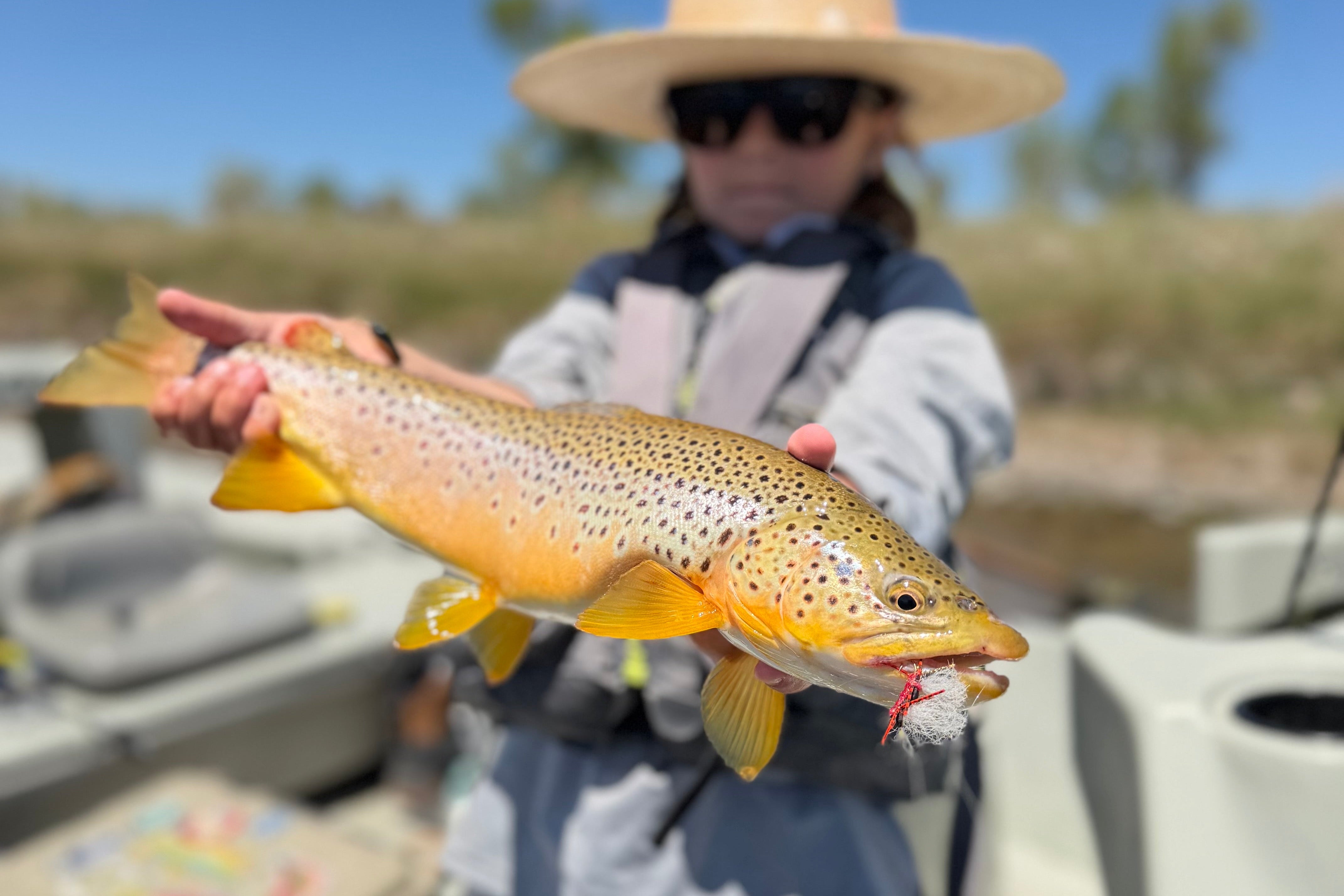 Anglers Den | Utah's Premier Fly Fishing & Tackle Shop