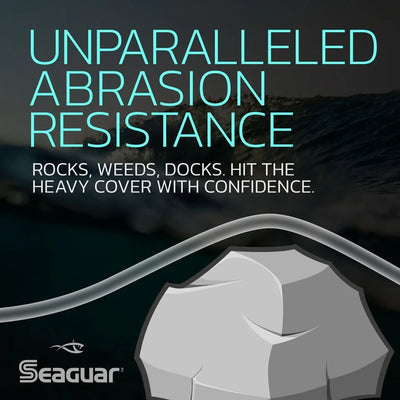 Seaguar STS Trout/Steelhead
