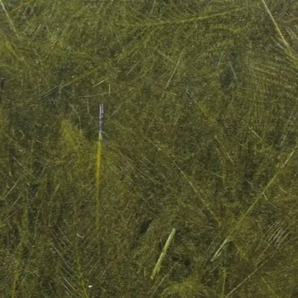 Hareline UV2 Select CDC
