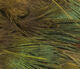 Hareline Strung Ringneck Rump Feathers