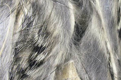 Hareline Black Barred Rabbit Strips