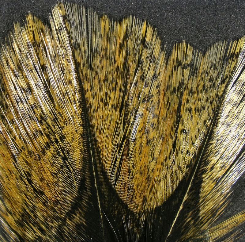 Hareline Coq de Leon Feathers