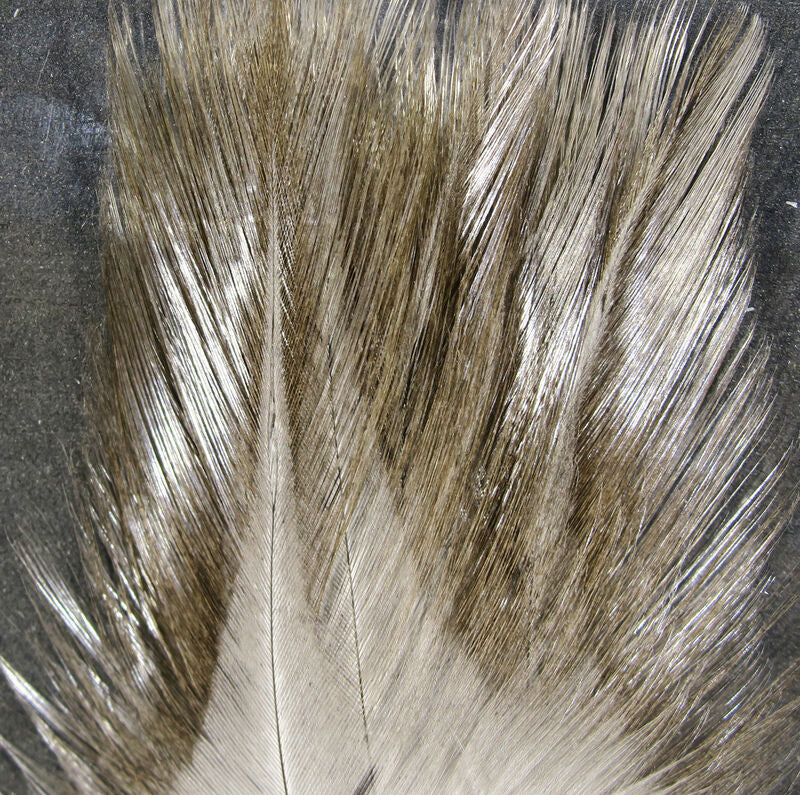 Hareline Coq De Leon (CDL)