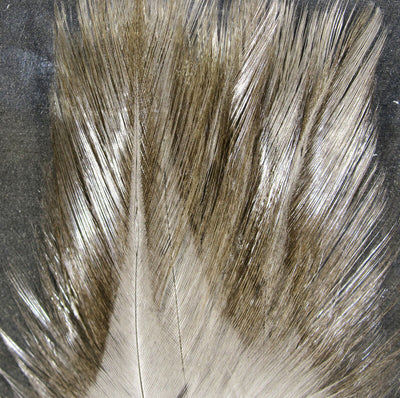 Hareline Coq De Leon (CDL)