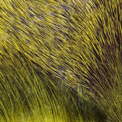 Hareline Premo Deer Hair Strip