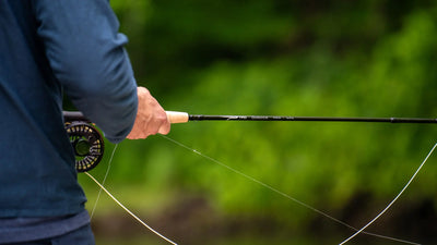 TFO Dispatch Fly Rods
