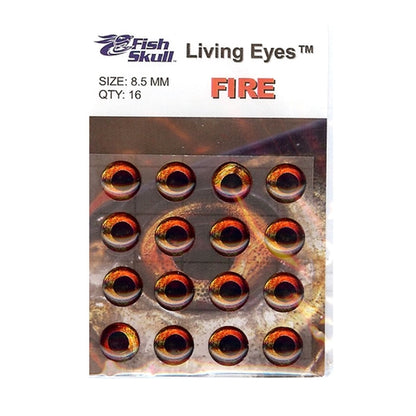 Fish Skull Living Eyes