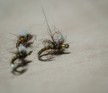 Tiemco TMC2488 Nymph Fly Tying Hooks