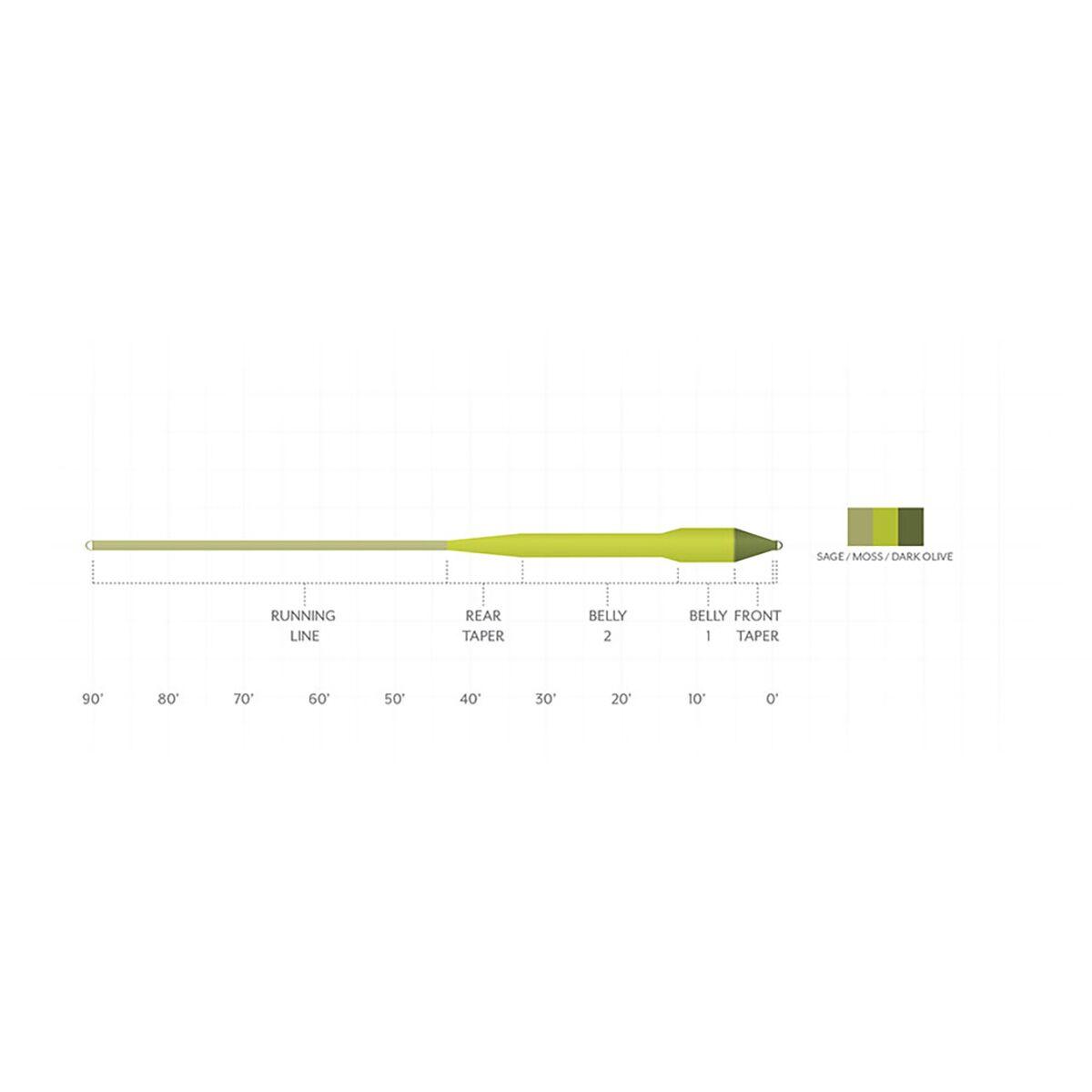 Scientific Anglers Amplitude Smooth Titan Long fly line taper diagram