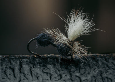 Umpqua Tiemco Dry Fly TMC 900BL 25 Pack