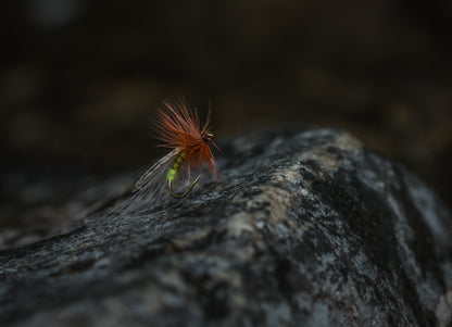 Tiemco TMC2487 Nymph Hooks