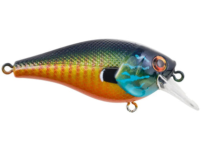 Berkley Square Bull 5.5