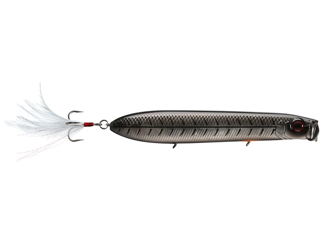 Evergreen SB Topwater