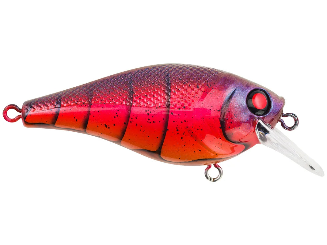 Berkley Square Bull 5.5