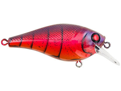 Berkley Square Bull 5.5