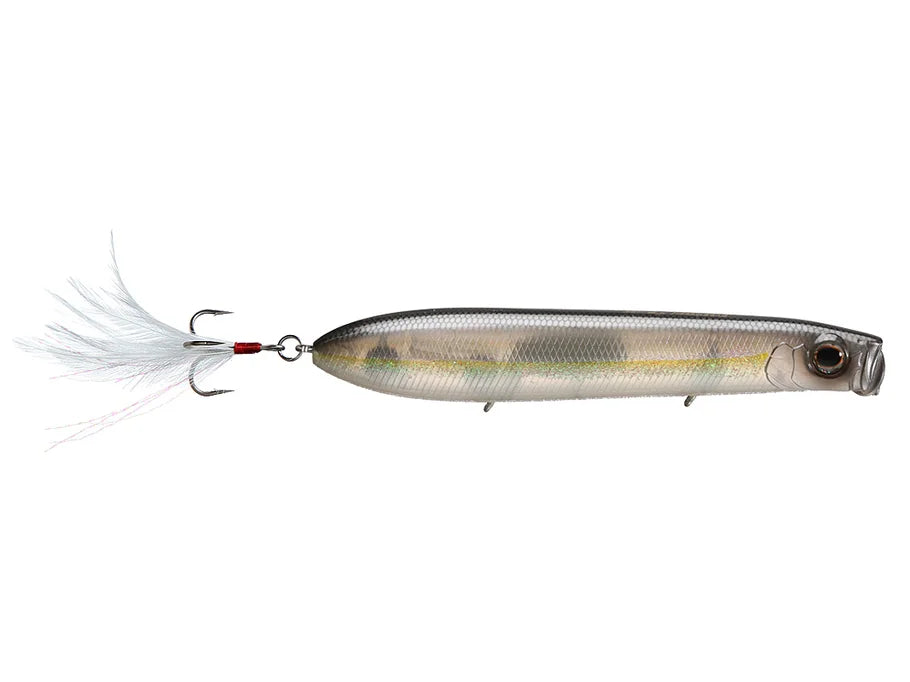 Evergreen SB Topwater