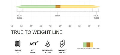 Scientific Anglers Amplitude Smooth Double Taper fly line profile diagram