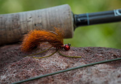 Umpqua U555 Jig Hook
